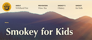 Smokey Website